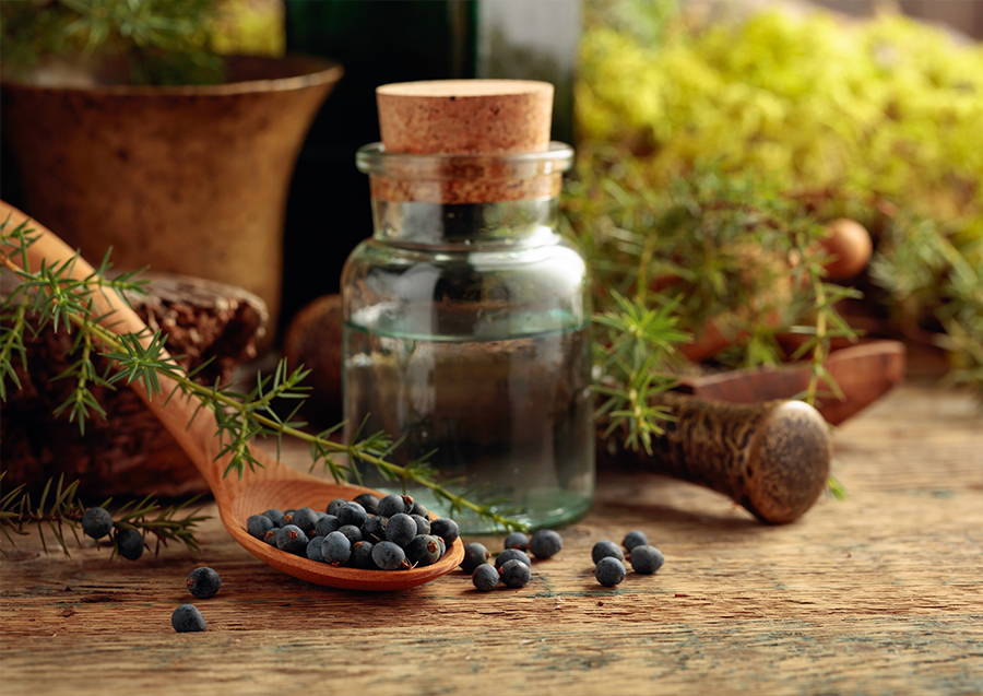 Unlocking the Power of Natural Supplements: Enhancing Sexual Health with Herbal Solutions