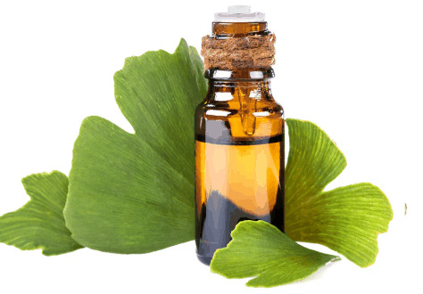 Ginkgo Biloba